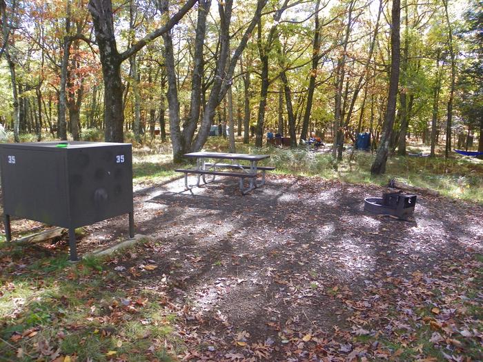 Tent only site 35Large, level site with a short walk from the parking area
Tent only sites have a tent pad, picnic table, fire pit, and food storage box.