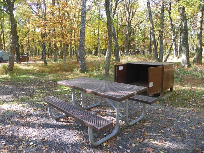 Campsite 41Tent only sites have a tent pad, picnic table, fire pit, and food storage box.