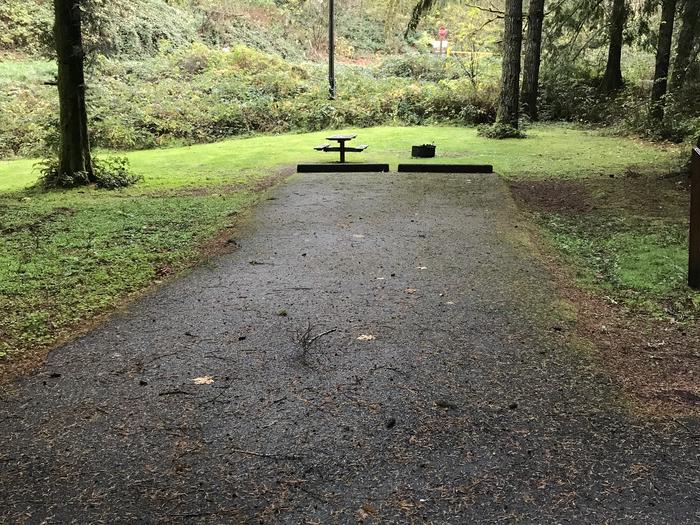 Campsite within forested and grassy landscape. Includes paved parking, fire pit, and picnic bench.Campsite 2 within Blackberry Campground. Paved parking, fire pit, and picnic bench.
