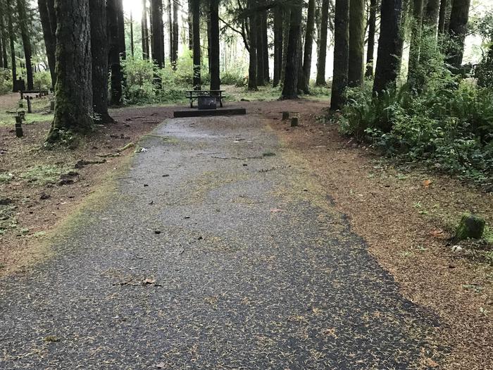 Campsite within forested landscape, including paved parking, fire pit and picnic bench.Campsite 3 within Blackberry Campground. Paved parking, fire pit, and picnic bench.