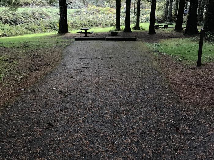 Campsite within forested and grassy landscape. Including paved parking, fire pit, and picnic bench.Campsite 5 within Blackberry Campground. Paved parking, fire pit, and picnic bench.