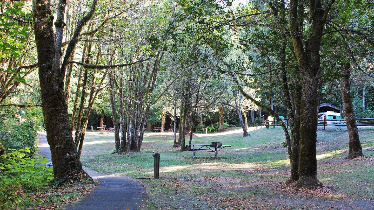 Paved trail and picnic site at Tyee Campground.View of Paved trail and picnic site at Tyee Campground.