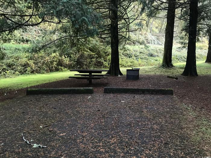 Campsite within forested landscape, including paved parking, fire pit, and picnic bench.Campsite 6 within Blackberry Campground. Paved parking, fire pit, picnic bench.