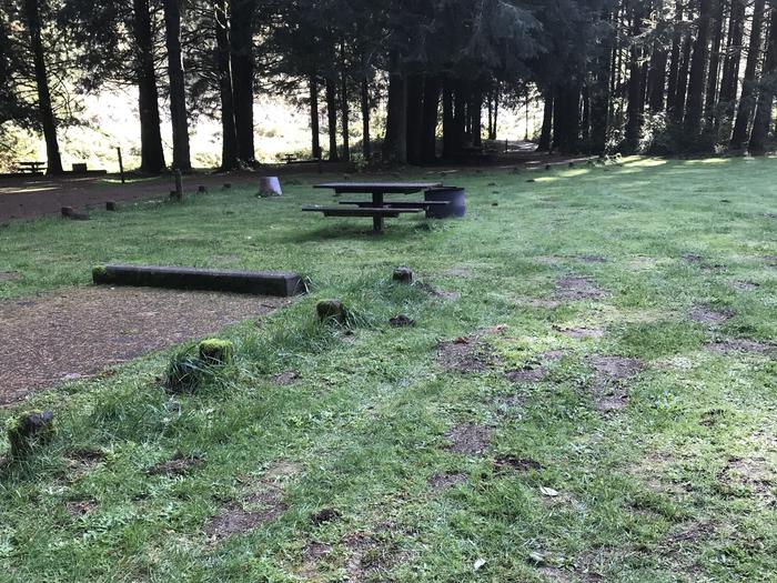 Campsite within forested grassy landscape. Including paved parking, fire pit, and picnic bench.Campsite 8 within Blackberry Campground. Paved parking, fire pit, and picnic bench.
