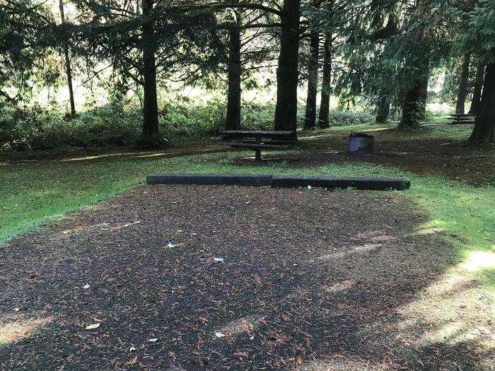 Campsite within forested grassy landscape. Including paved parking, picnic bench, and fire pit.Campsite 11 within Blackberry Campground. Includes paved parking, picnic bench, and fire pit.
