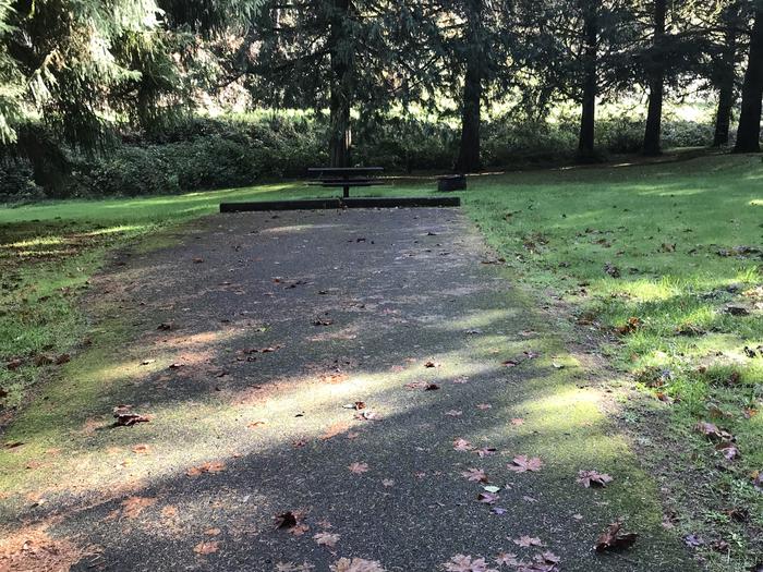 Campsite within forested grassy landscape. Including paved parking, picnic bench, and fire pit.Campsite 12 within Blackberry Campground. Includes paved parking, picnic bench, and fire pit.
