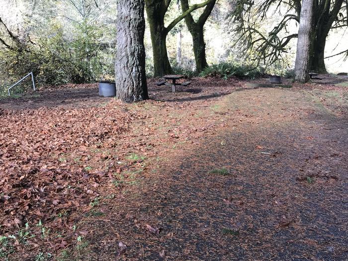 Campsite including handrail to access river bank, fire pit, paved parking, and picnic bench.Campsite 17 within Blackberry Campground. Includes handrail to access river bank, fire pit, paved parking, and picnic bench.