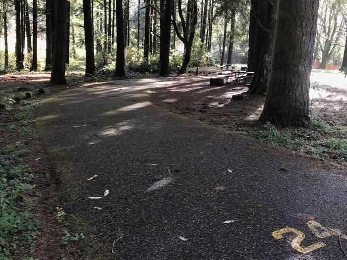 Looped campground within forested landscape. Includes picnic bench, paved parking, and fire pit.Campsite 24 within Blackberry Campground. Includes picnic bench, looped paved parking, and fire pit.