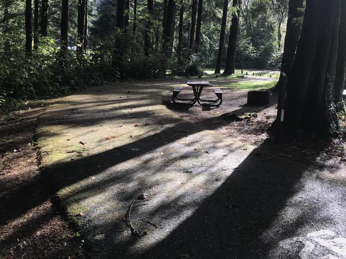 Looped campground within forested landscape. Includes paved parking, picnic bench, and fire pit.Campsite 26 within Blackberry Campground. Includes looped paved parking, picnic bench, and fire pit.