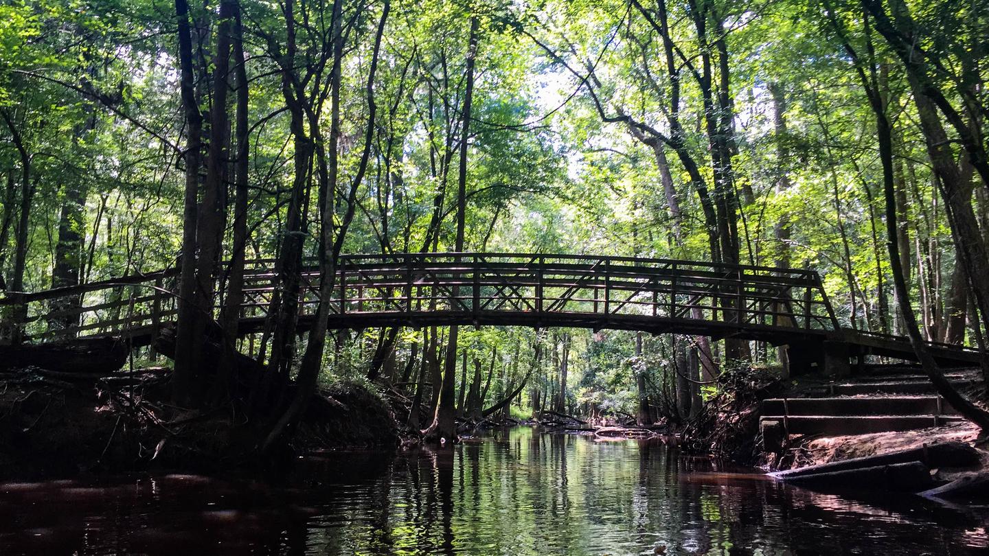 A bridge spans the water in the forest of Congaree National ParkMany paddlers explore the park on the water
