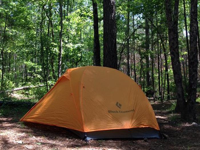 An orange tent pitched at Congaree National Park
