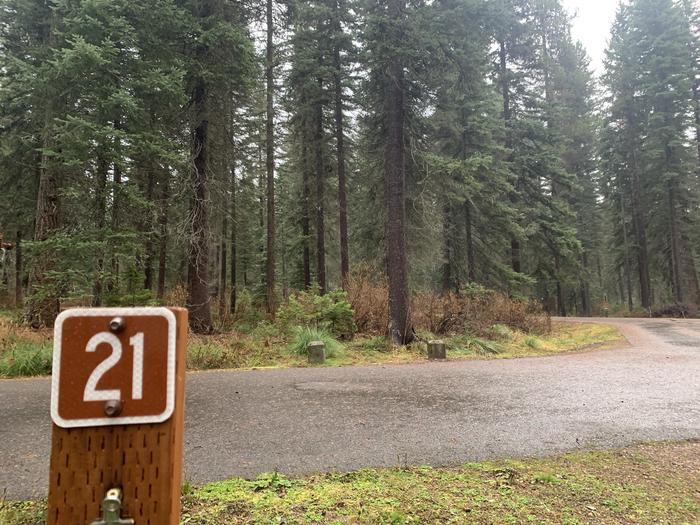 A photo of Site LAS21 in Loop 1 at Lake Alva Campground with campsite marker. 