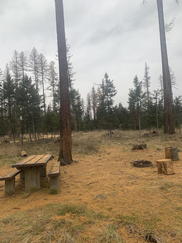 A photo of Site BLS28 of Loop 2 at BIG LARCH CAMPGROUND with Picnic Table, Fire Pit