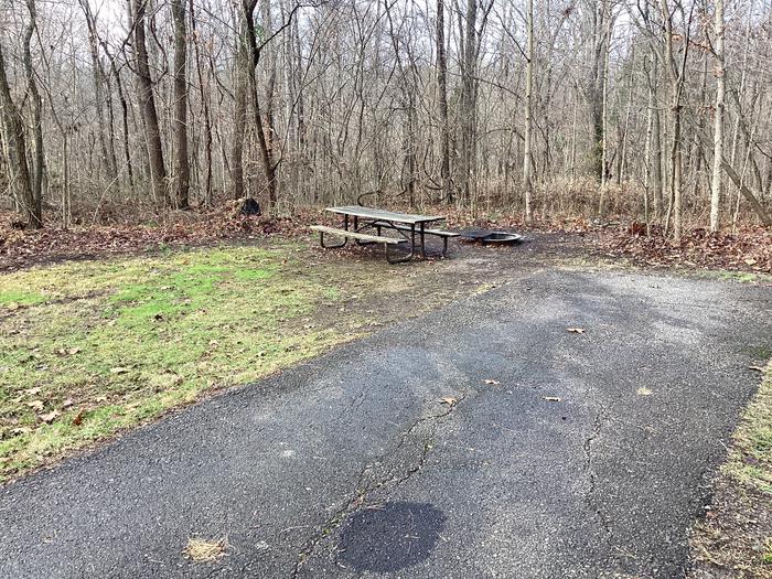 A photo of Site 2 of Loop Buzzard Roost at Buzzard Roost Campground  with Picnic Table, Fire Pit