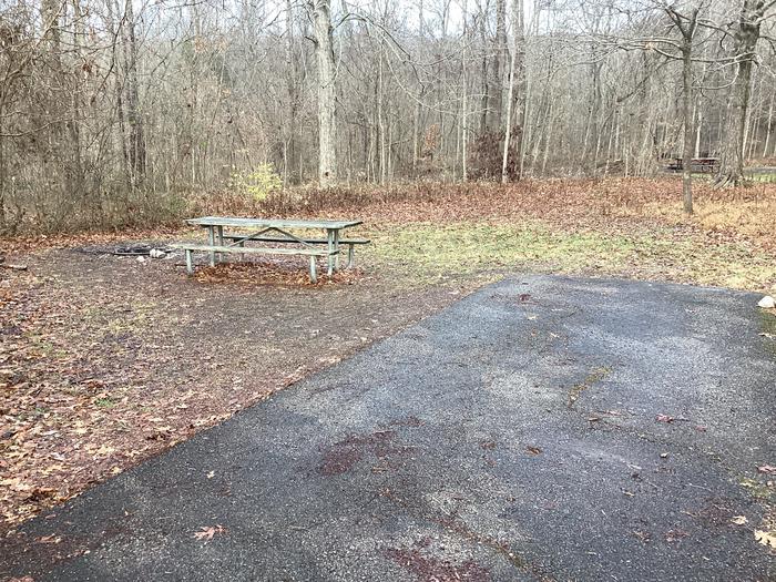 A photo of Site 4 of Loop Buzzard Roost at Buzzard Roost Campground  with Picnic Table, Fire Pit