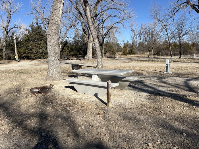 A photo of Site C23 of Loop CWES at VENANGO PARK with Picnic Table, Electricity Hookup, Fire Pit