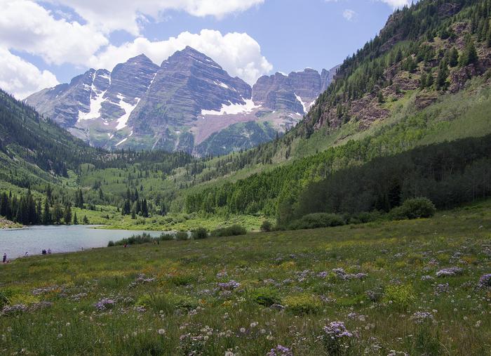 The purple Maroon Bells peaks over Maroon Lake with wildflowers in the foregroundView of the Bells from the Visitor Center