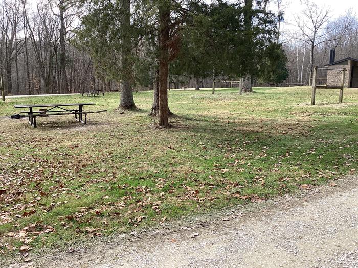 A photo of Site 5 of Loop  at Shirley Creek Campground  with Picnic Table, Shade, and Hitching Post.