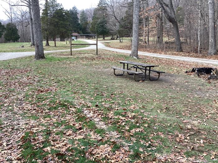 A photo of Site 6 of Loop  at Shirley Creek Campground  with Picnic Table and Hitching Post.