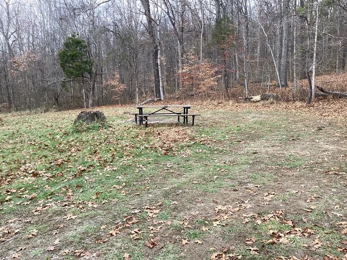 A photo of Site 1 of Loop at Shirley Creek Campground  with Picnic Table and Hitching Post