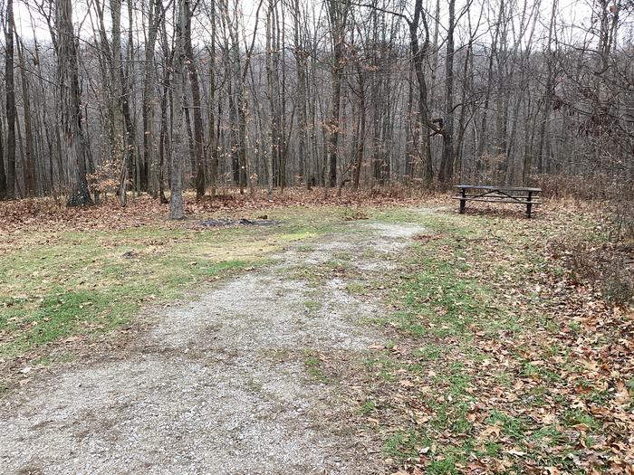 A photo of Site 15 of Loop  at Shirley Creek Campground  with Picnic Table
