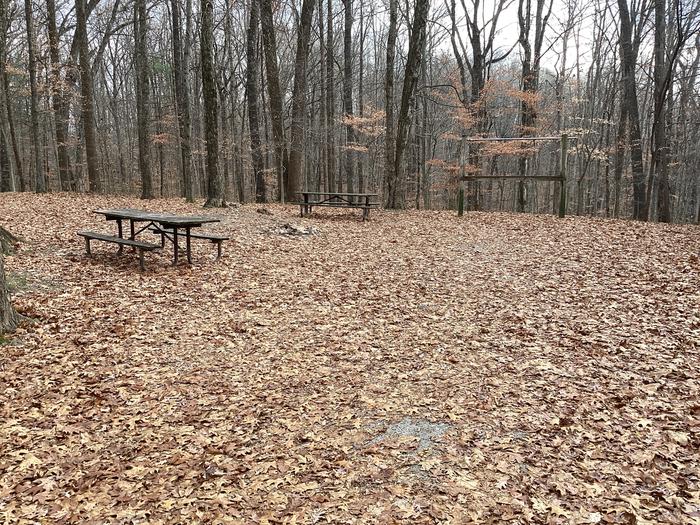 A photo of Site 9 of Loop  at Shirley Creek Campground  with Picnic Table and Hitching Post.