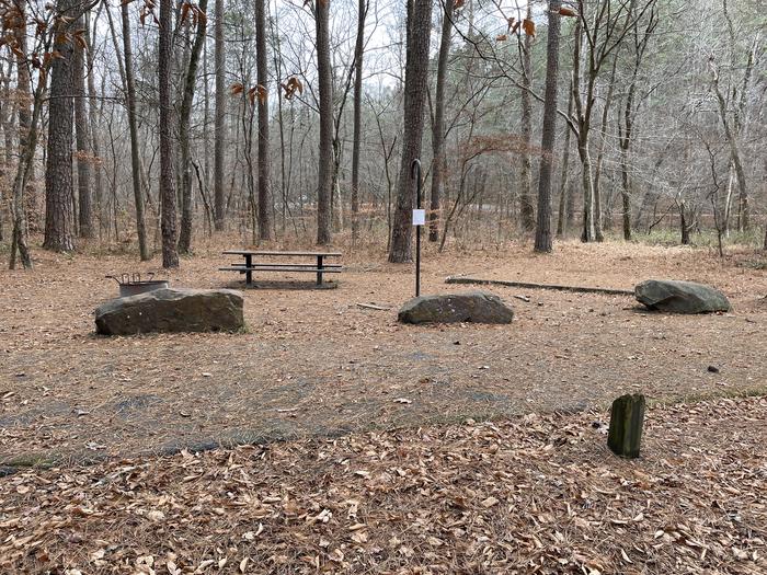 Site 6A photo of Site 6 of Loop main at Pocket Campground with Picnic Table, Fire Pit, Shade, Tent Pad, Lantern Pole