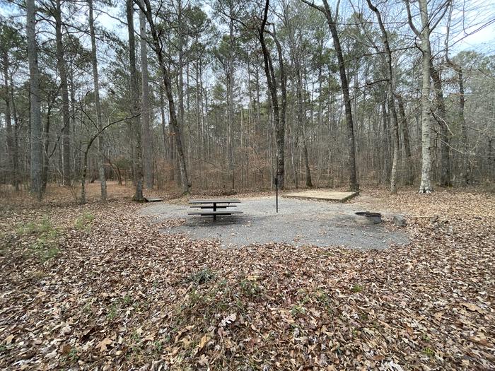 Site 14A photo of Site 14 of Loop main at Pocket Campground with Picnic Table, Fire Pit, Shade, Tent Pad, Lantern Pole