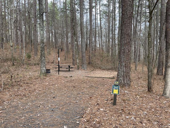 A photo of Site 17 of Loop main at Pocket Campground with Picnic Table, Fire Pit, Shade, Tent Pad, Lantern Pole