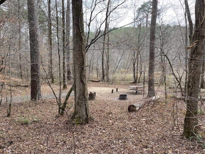 A photo of Site 4 of Loop main at Pocket Campground with Picnic Table, Fire Pit, Tent Pad, Lantern Pole