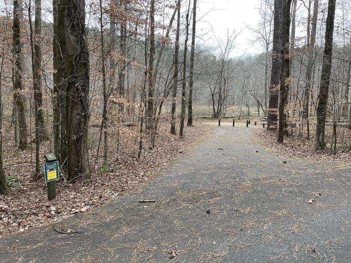 Site 4 entranceA photo of Site 4 of Loop main at Pocket Campground with Picnic Table, Fire Pit, Tent Pad, Lantern Pole