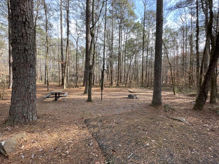 Site 23A photo of Site 23 of Loop main at Pocket Campground with Picnic Table, Fire Pit, Shade, Tent Pad, Lantern Pole