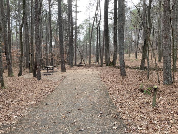 A photo of Site 19 of Loop main at Pocket Campground with Picnic Table, Fire Pit, Shade, Tent Pad, Lantern Pole