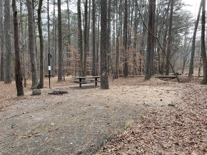 Site 19A photo of Site 19 of Loop main at Pocket Campground with Picnic Table, Fire Pit, Shade, Tent Pad, Lantern Pole