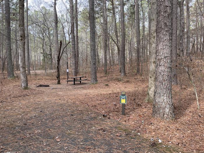 A photo of Site 18 of Loop main at Pocket Campground with Picnic Table, Fire Pit, Shade, Tent Pad, Lantern Pole