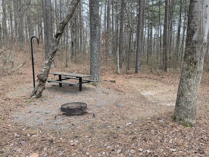 Site 18A photo of Site 18 of Loop main at Pocket Campground with Picnic Table, Fire Pit, Shade, Tent Pad, Lantern Pole