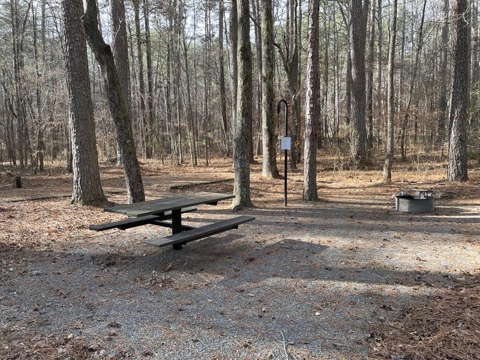 Site 22 at PocketA photo of Site 22 of Loop main at Pocket Campground with Picnic Table, Fire Pit, Shade, Tent Pad, Lantern Pole
