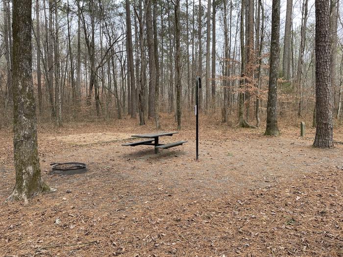 Site 15A photo of Site 15 of Loop main at Pocket Campground with Picnic Table, Fire Pit, Shade, Tent Pad, Lantern Pole