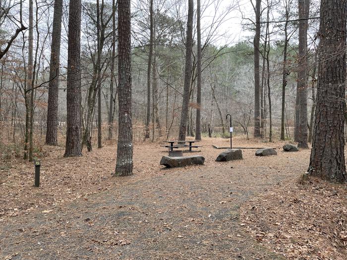 A photo of Site 6 of Loop main at Pocket Campground with Picnic Table, Fire Pit, Shade, Tent Pad, Lantern Pole