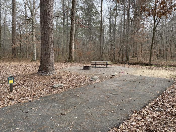 A photo of Site 10 of Loop main at Pocket Campground with Picnic Table, Fire Pit, Lantern Pole