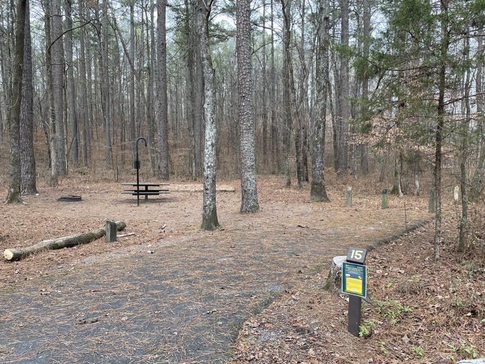 A photo of Site 15 of Loop main at Pocket Campground with Picnic Table, Fire Pit, Shade, Tent Pad, Lantern Pole