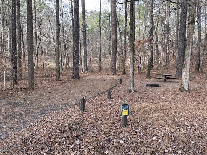 A photo of Site 26 of Loop main at Pocket Campground with Picnic Table, Fire Pit, Shade, Tent Pad, Lantern Pole