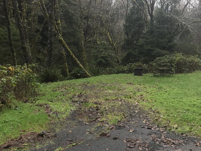 Campsite within forest landscape. Includes paved parking, picnic bench, and fire pit.Campsite 1 within Cape Perpetua Campground. Includes paved parking, picnic bench, and fire pit.