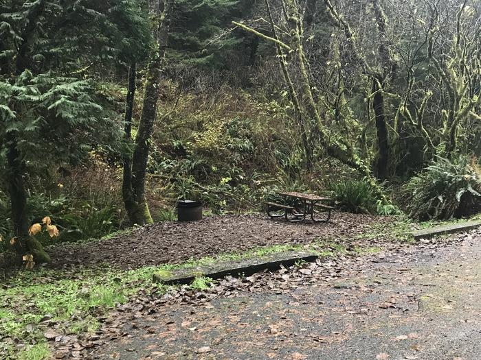 Campsite in forested landscape. Includes paved parking, picnic bench, and fire pit.Campsite 3 within Cape Perpetua campground. Includes paved parking, fire pit, and picnic bench.