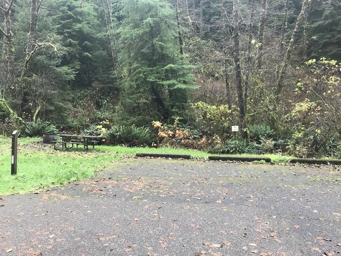 Campsite within forested landscape. Includes paved parking, picnic bench, and fire pit.Campsite 4 within Cape Perpetua campground. Includes paved parking, picnic bench, and fire pit
