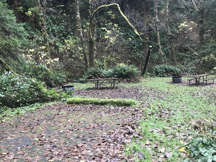 Campsite within forested landscape. Includes paved parking, picnic bench, and firepit.Campsite 9 within Cape Perpetua campground. Includes paved parking, picnic bench, and firepit.