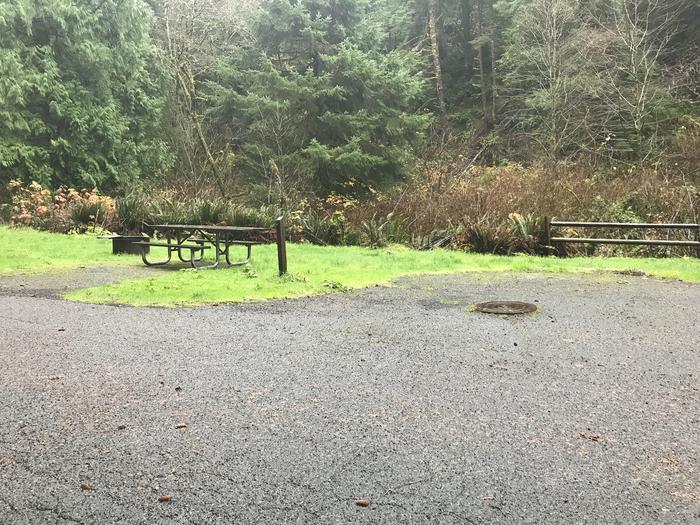 Campsite within grassy landscape. Includes paved parking, picnic bench, and firepit.Campsite 11 within Cape Perpetua campground. Includes paved parking, picnic bench, and firepit.