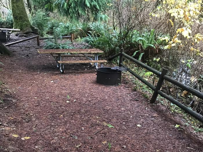 Campsite within forested landscape neighboring a river. Includes picnic bench and firepit.Campsite 12 within Cape Perpetua campground neighboring river. Includes paved parking, picnic bench, and firepit.