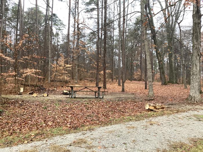 A photo of Site 14 of Loop German Ridge Campground at German Ridge Campground  with Picnic Table, Fire Pit, Shade, Tent Pad, Lantern Pole, Hitching Post, and Pull-through Parking.