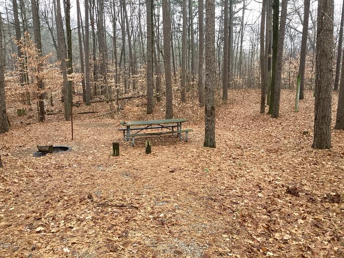 A photo of Site 13 of Loop German Ridge Campground at German Ridge Campground  with Picnic Table, Fire Pit, Shade, Tent Pad, Lantern Pole, and Hitching Post.